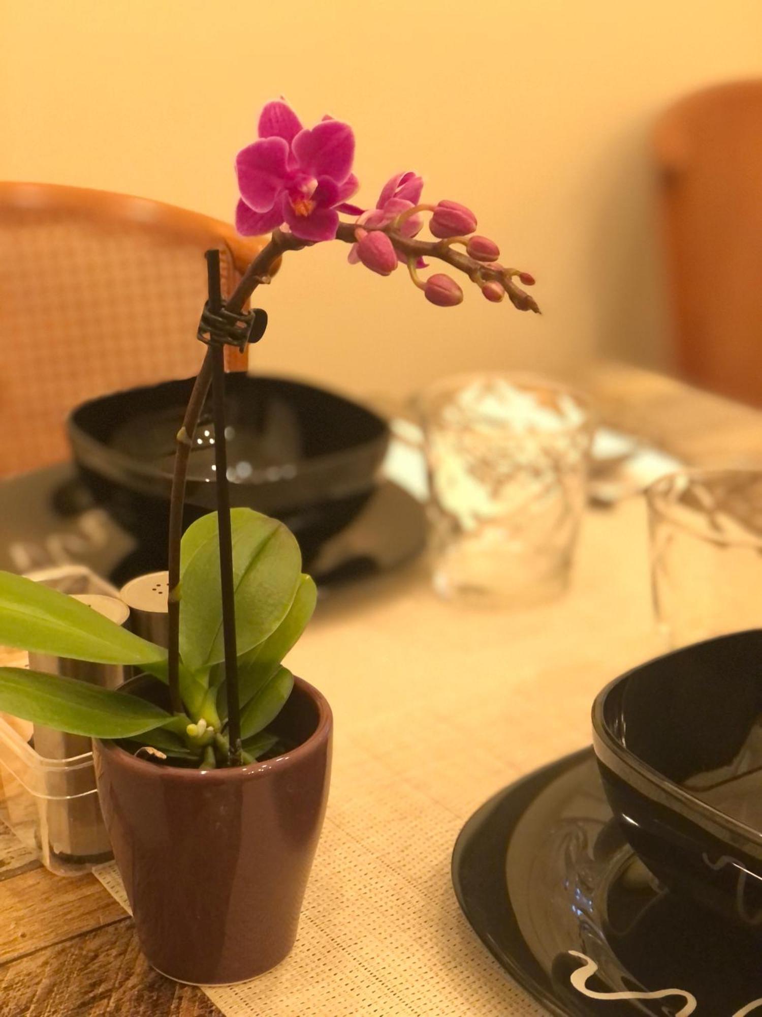 ברשה Serenity B&B מראה חיצוני תמונה